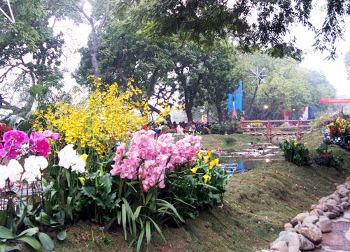 Thành phố Lào Cai: Tổ chức 2 điểm Hội chợ hoa xuân Canh Dần 2010 