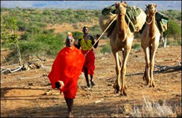 Thám hiểm Kenya (Châu Phi) trên lưng lạc đà  