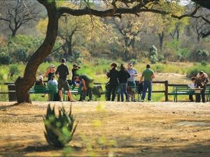 Kruger Park (Nam Phi) - Nơi dành cho du khách thích mạo hiểm 