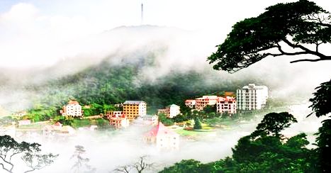 Tam Đảo (Vĩnh Phúc): Một vùng mây khói