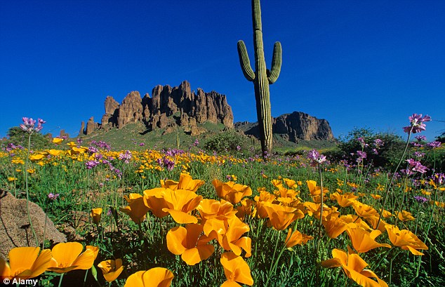 Sức hấp dẫn kỳ bí của Arizona (Hoa Kỳ)