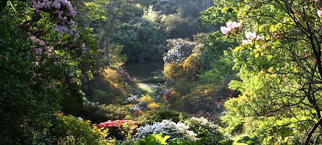 Khám phá những khu vườn xuân Anh Quốc
