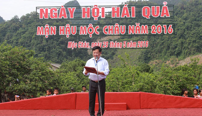 Ngày hội hái quả huyện Mộc Châu (Sơn La) năm 2016