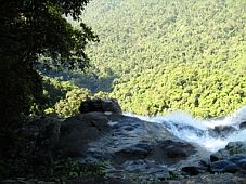 Sẽ có cáp treo lên vườn quốc gia Bạch Mã - Thừa Thiên Huế