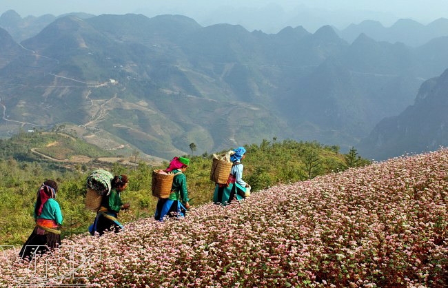 Khách du lịch đến Hà Giang trong 6 tháng đạt trên 317 nghìn lượt