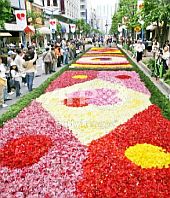 TP Hồ Chí Minh : Tưng bừng lễ hội đón chào năm mới 2009