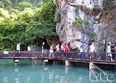 Quảng Ninh đẩy mạnh tuyên truyền bảo vệ loài gấu cho khách du lịch