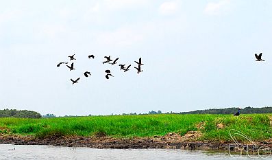 Quảng bá, liên kết xây dựng các tuyến, điểm du lịch