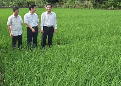 Hà Giang: Phát triển nông nghiệp gắn với du lịch