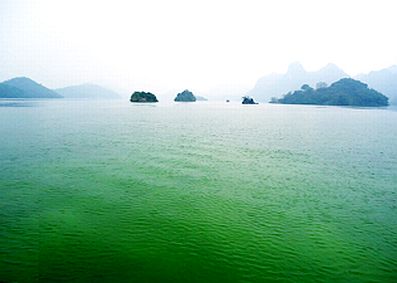 Thung Nai (Hòa Bình)- tìm hướng đi mới cho phát triển du lịch bền vững