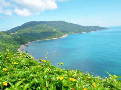 Đà Nẵng: Bảo tồn và phát triển bền vững hệ sinh thái bán đảo Sơn Trà