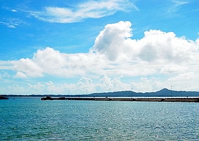 Cô Tô (Quảng Ninh) sẽ trở thành đảo hoa hấp dẫn khách du lịch