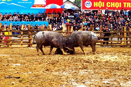 Chương trình Lễ hội “Âm vang hồ Thác” năm 2011