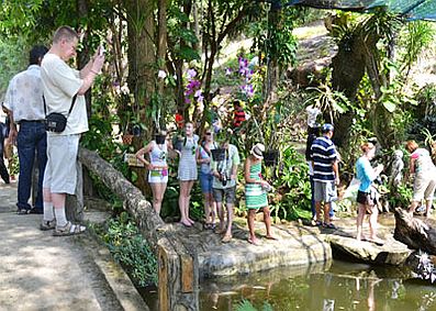 Suối Hoa Lan đưa vào phục vụ tàu cho khách lẻ