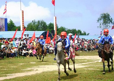 Phú Yên tổ chức đua ngựa truyền thống đầu Xuân