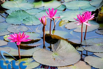 Khởi động cuộc thi Ảnh đẹp du lịch 2011
