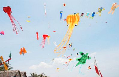 Hội thi diều sáo khu vực đồng bằng sông Hồng và khai trương mùa du lịch biển tỉnh Nam Định 2013