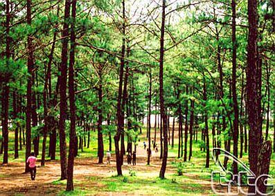 Liên kết tour “biển và rừng” để thu hút du khách Nga