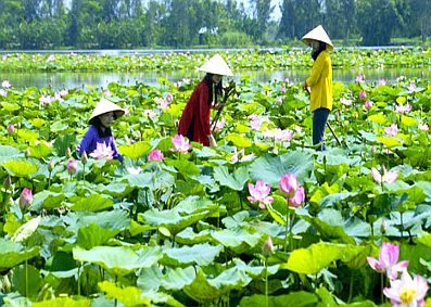 Long An quy hoạch phát triển du lịch đến năm 2030