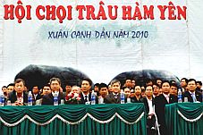 Hàm Yên (Tuyên Quang) tổ chức Hội chọi trâu