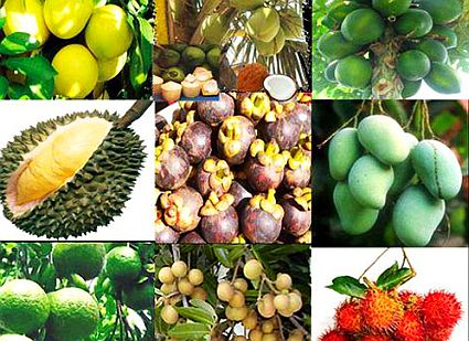 100 đặc sản Việt sẽ được ghi tên vào sách kỷ lục món ngon