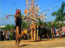 Xem lễ hội đâm trâu ở làng Mơ Hra (Gia Lai)