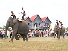 Mở hội đua voi trong Tuần lễ Văn hóa – Du lịch Buôn Ma Thuột-Đắk Lắk