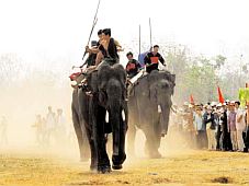 Tuần lễ văn hóa du lịch Đắk Lắk năm 2009: Huyền thoại voi Tây Nguyên