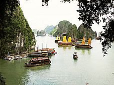 Sở Văn hoá, Thể thao và Du lịch Quảng Ninh: Triển khai các giải pháp cấp bách thu hút khách du lịch