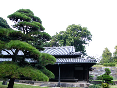 Thăm Hoàng cung Tokyo (Nhật Bản)