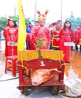 Hà Nội: Tổ chức 8 lễ hội trong dịp tết Kỷ Sửu
