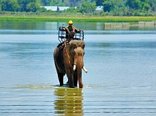 Kỳ thú du lịch hồ Lắk - nét đặc trưng của xứ voi