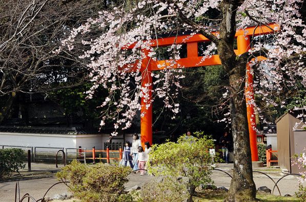 Sức quyến rũ của thành phố cổ Kyoto