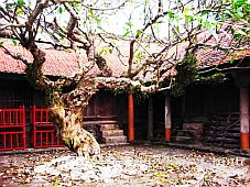 Đình Trà Cổ (Quảng Ninh) - Cột mốc văn hóa Việt