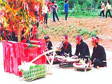 Lễ hội Xòe Chá- Nét văn hóa của người Thái trắng Mộc Châu (Sơn La)