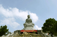 Chùa Phật Tích và cây tháp cổ thời Lý