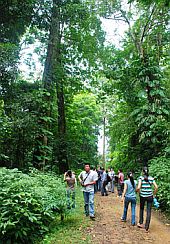 Tiềm năng du lịch ở Vườn Quốc gia Xuân Sơn - Phú Thọ