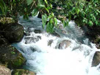 Khu du lịch suối nước Moọc- điểm đến mới ở Quảng Bình