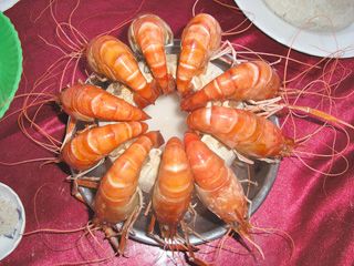 Những món ăn độc đáo của cư dân xứ dừa Bến Tre
