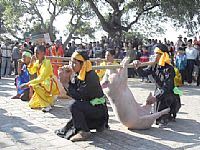 Độc đáo Lễ hội “Chạy lợn thờ”  ở Hà Nội