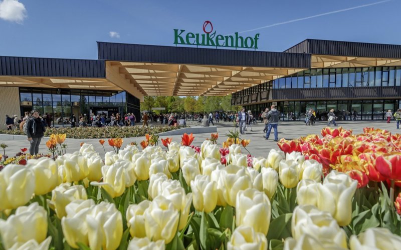 5 lý do bạn nên đi thăm ngay vườn hoa Keukenhof mùa xuân này