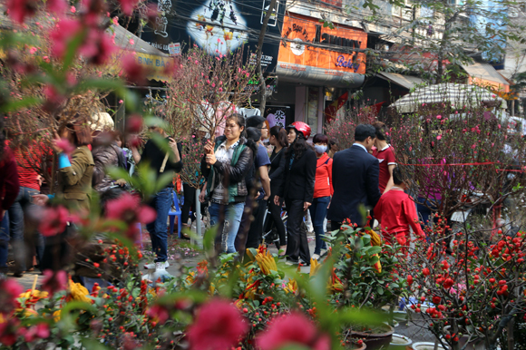 Hà Nội tổ chức 51 điểm chợ hoa xuân phục vụ Tết Nguyên đán