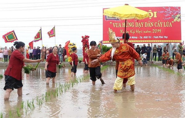 Phú Thọ: Tái hiện sống động lễ hội Vua Hùng dạy dân cấy lúa