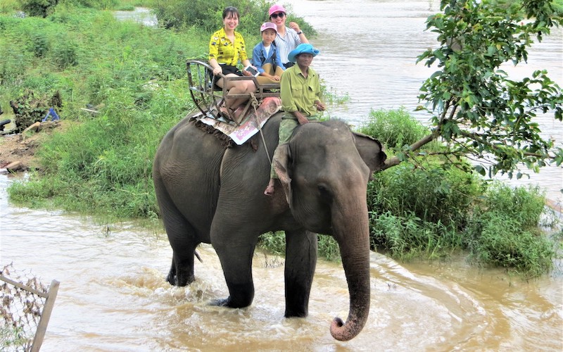Đắk Lắk không đưa khách đến tham quan các điểm nuôi nhốt động vật hoang dã trái phép