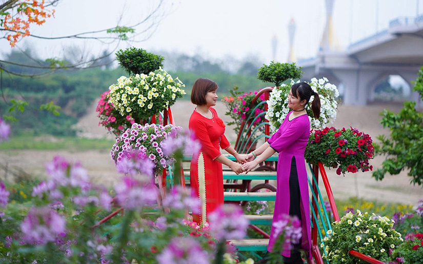 Tuyên Quang: Trồng hoa để làm dịch vụ du lịch