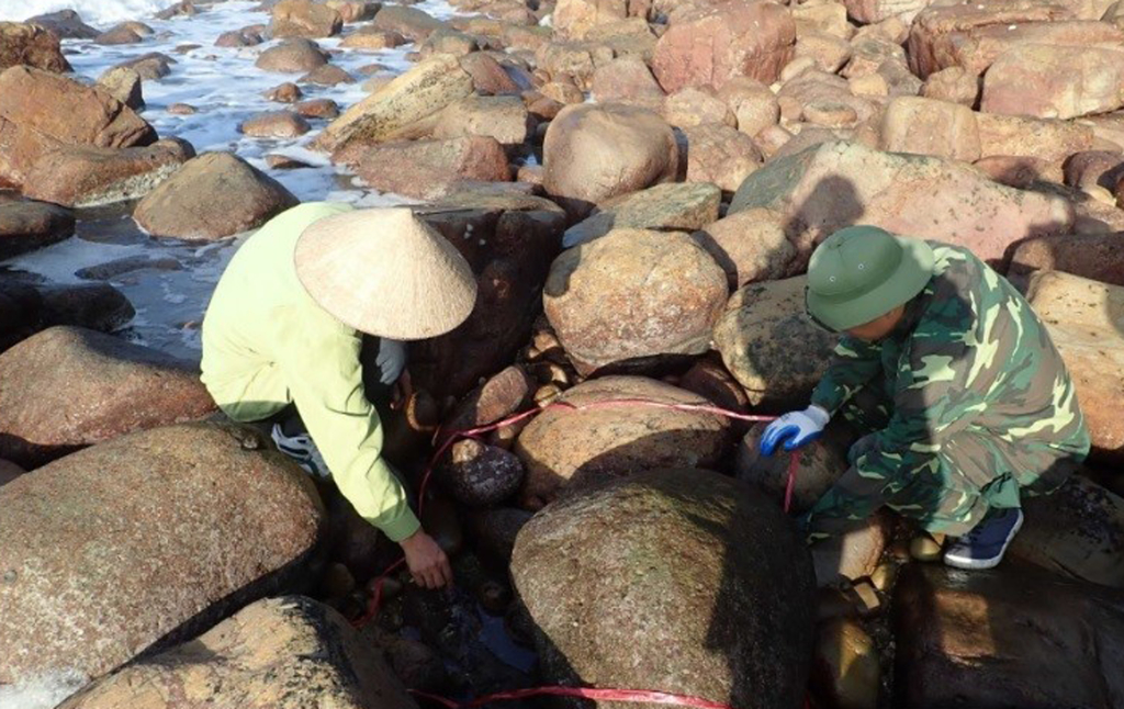 Quảng Ninh: Bảo tồn, phát huy giá trị Vườn quốc gia Bái Tử Long