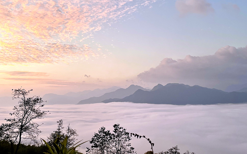 Lào Cai: ''Săn mây'' ở Hầu Chư Ngài