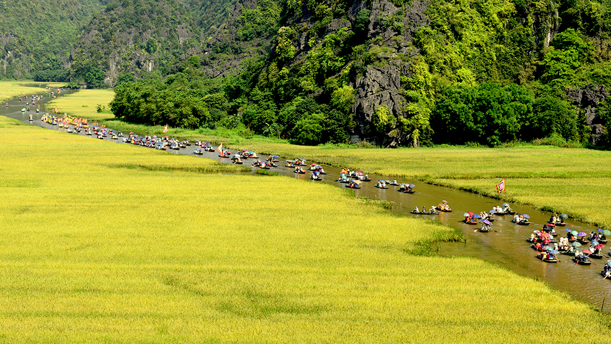 Ninh Bình tổ chức Tuần du lịch “Sắc vàng Tam Cốc - Tràng An” năm 2022 từ ngày 21-28/5