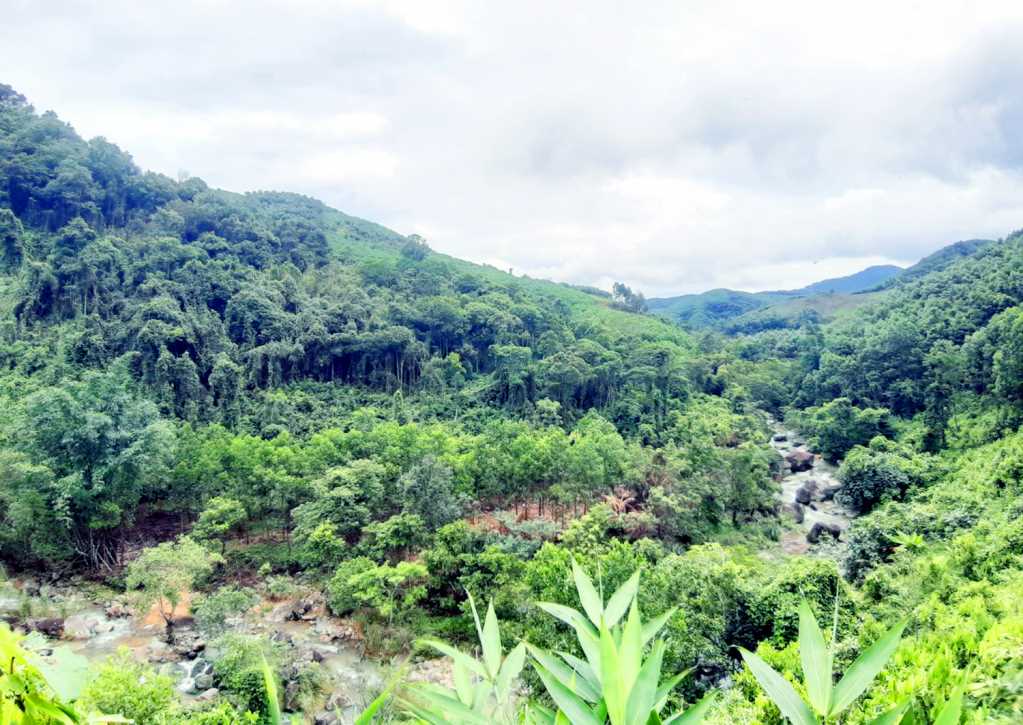 Quảng Ninh: Khám phá miền đất tươi đẹp Phong Dụ