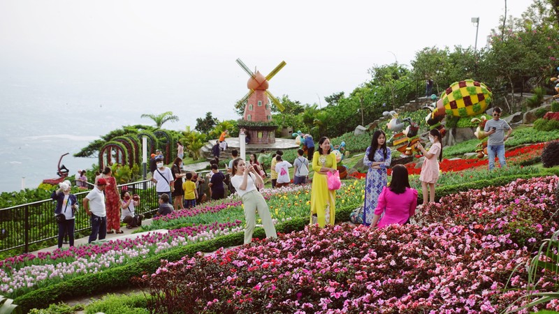 Tây Ninh: Đến núi Bà Đen để thưởng ngoạn ''thiên đường'' hoa rực rỡ